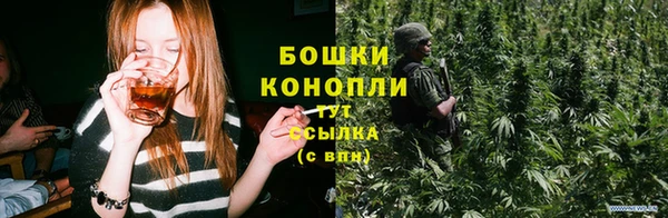 2c-b Богородицк